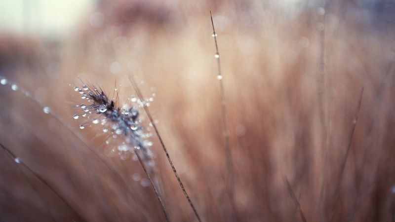 sunlight, water, nature, reflection, grass, winter sunlight, water, nature, reflection, grass, winter