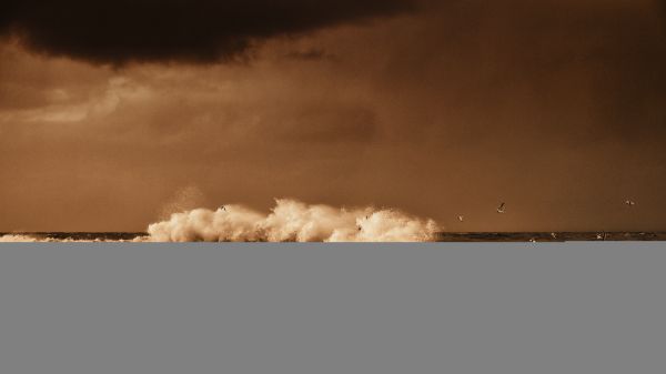 beach,water,strand,sea,brown,sepia