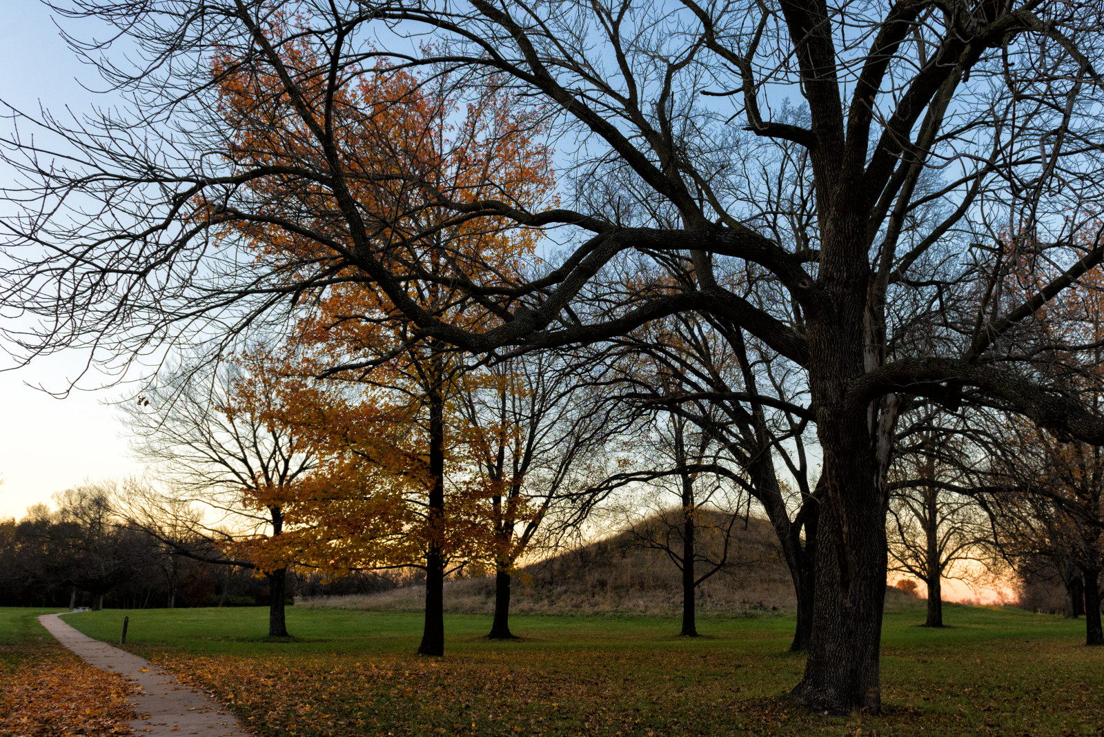 slunečnímu záření, krajina, podzim, západ slunce, Příroda, odraz, tráva, nebe, park, zima, pole, větev, večer, ráno, jaro, Pohřbení, mrak, strom, podzim, list, rostlina, louka, během dne, zálesí, háj, počítač tapeta, dřevina, valy, salta, Pozůstalý, Fisher-Price, goingnowhere, guapas, NDC, emelexista, southernbreeze, qroo, quesevayantodos, january27, tmntgame, porquetulovales, pdrtv, Dota 2, worldvisiongifts, eljugadordelpartido, migraduacionslc, fpwishlist, holidayexperts, migraduacionidea, nadeshotonellen, latinamericagocrazy, alamodrivehappy, nickcincotta, jesseoninsider, miercolesdemhoni, siamasadios, dtnoratinho, chipdavidlark, migraduacioncala, migraduacionmdei, groovein3days, latingrammynoms, usaricecan, thexfactornosony, targetredcardca, handmadehourusa, ahokway, Cahokia