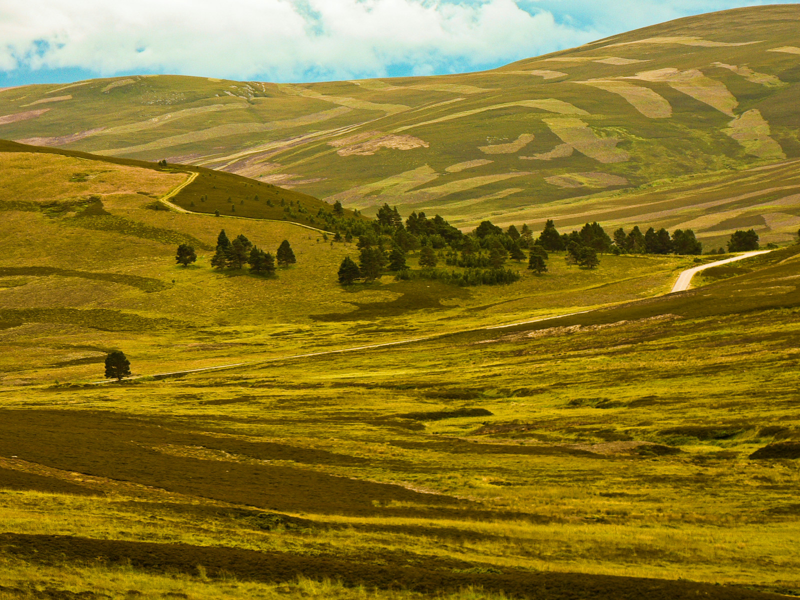 dřevo, zelená, Příroda, krajina, Skotsko, vrchovina, kubismus, themoulinrouge, naturesfinest, blueribbonwinner, vob, supershot, golddragon, platinumphoto, anawesomeshot, aplusphoto, ultimateshot, theunforgettablepictures, naturewatcher, colourartaward, betterthangood, dazzlingshots, theperfectphotographer, goldstaraward, spiritofphotography