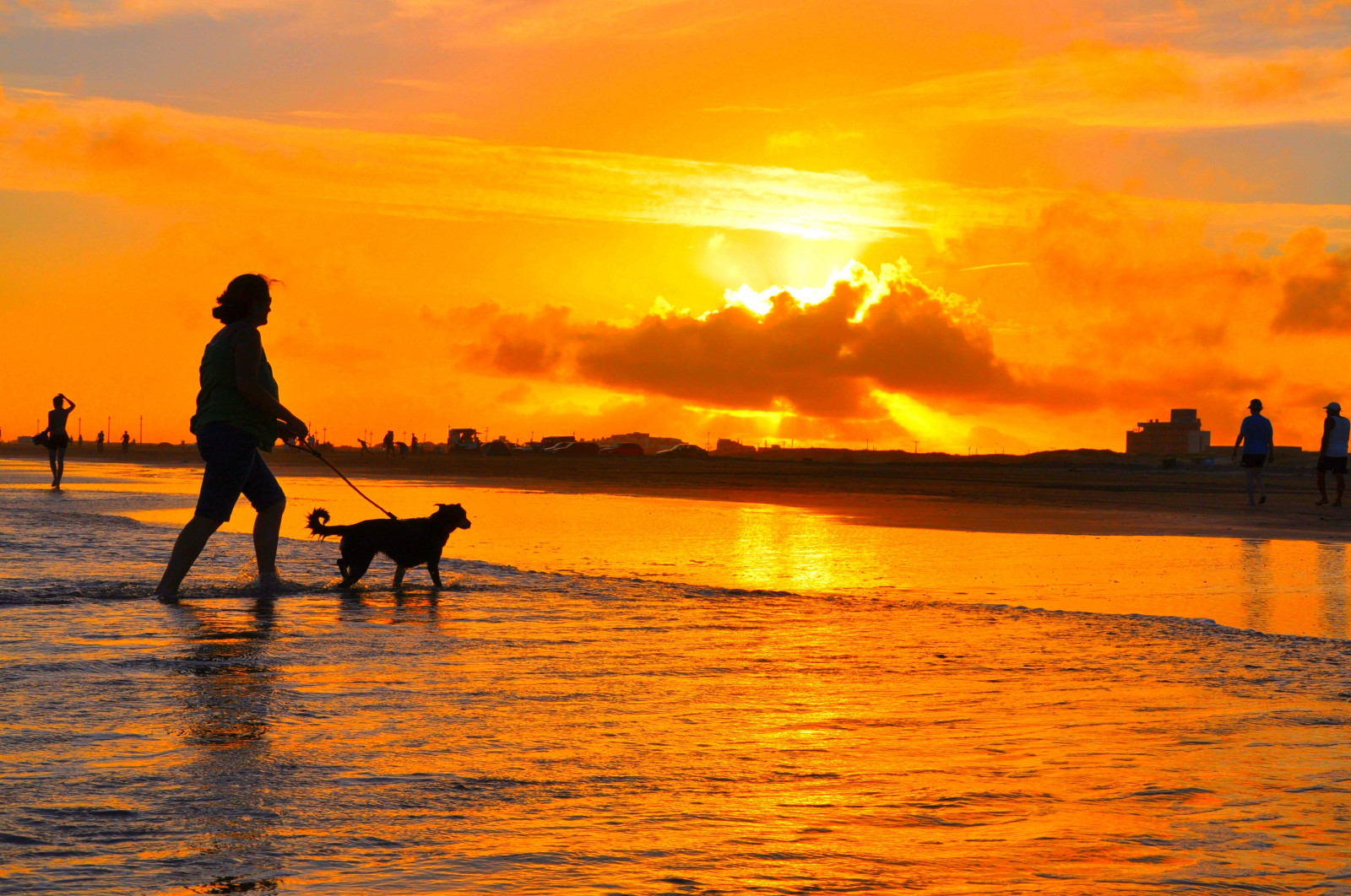 slunečnímu záření, krajina, západ slunce, moře, voda, pobřeží, písek, odraz, nebe, silueta, pláž, svítání, uklidnit, večer, ráno, pobřeží, Pes, slunce, horizont, letní, Nikon, soumrak, zalévání, slunce, dovolená, 90, výstřel, mrak, flickr, svítání, waterside, oceán, Rio, vlna, zábava, de, pramen, místo, skvělý, d90, Praia, dělat, grande, d, nikond90, tarde, colorphotoaward, sul, cachorro, bestofmywinners, odlesk, červená obloha v dopoledních hodinách, Verao, mořský břeh, ekoregion, por, fim, 110mm, Zavřený