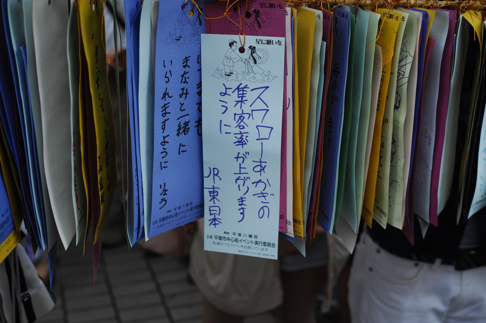 modrý, Quattro, nakupování, Tanabata, barva, sigma, dp, DP2, dp2quattro, dp2q, Kanagawa, Hiratsuka