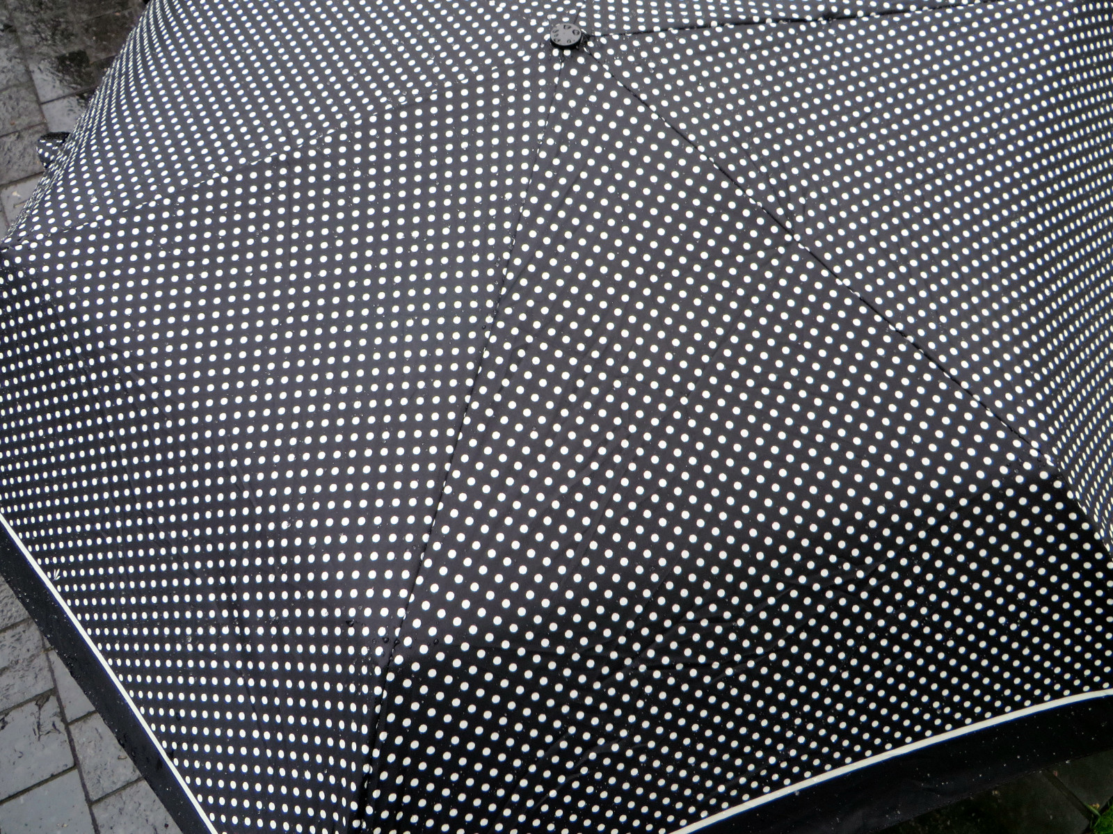 bílý, Černá, déšť, deštník, Noir, Montreal, Quebec, pluie, puntíky, blanc, pois, Parapluie, Img0083