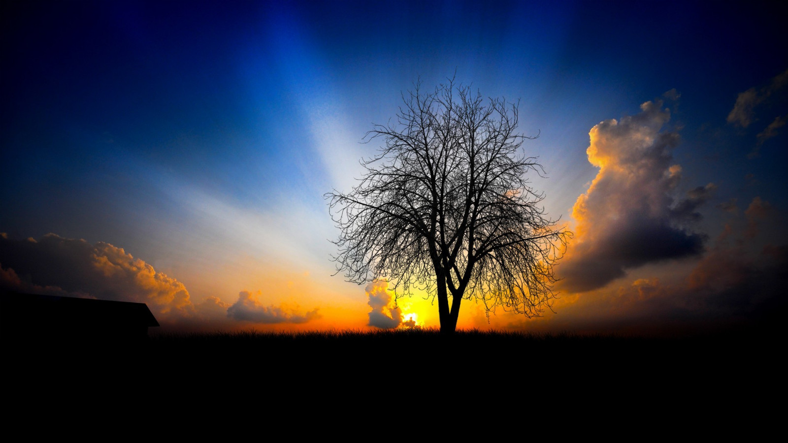 slunečnímu záření, západ slunce, noc, odraz, nebe, svítání, večer, ráno, slunce, horizont, atmosféra, soumrak, světlo, mrak, strom, svítání, 1920x1080 px, atmosférický jev, odlesk, astronomický objekt