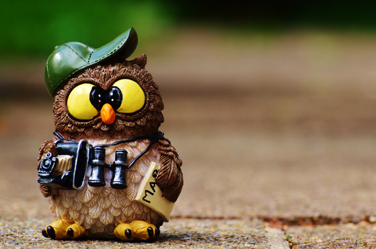 owl, figurine, cap, binoculars