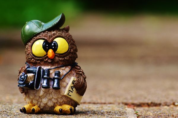 owl,figurine,cap,binoculars