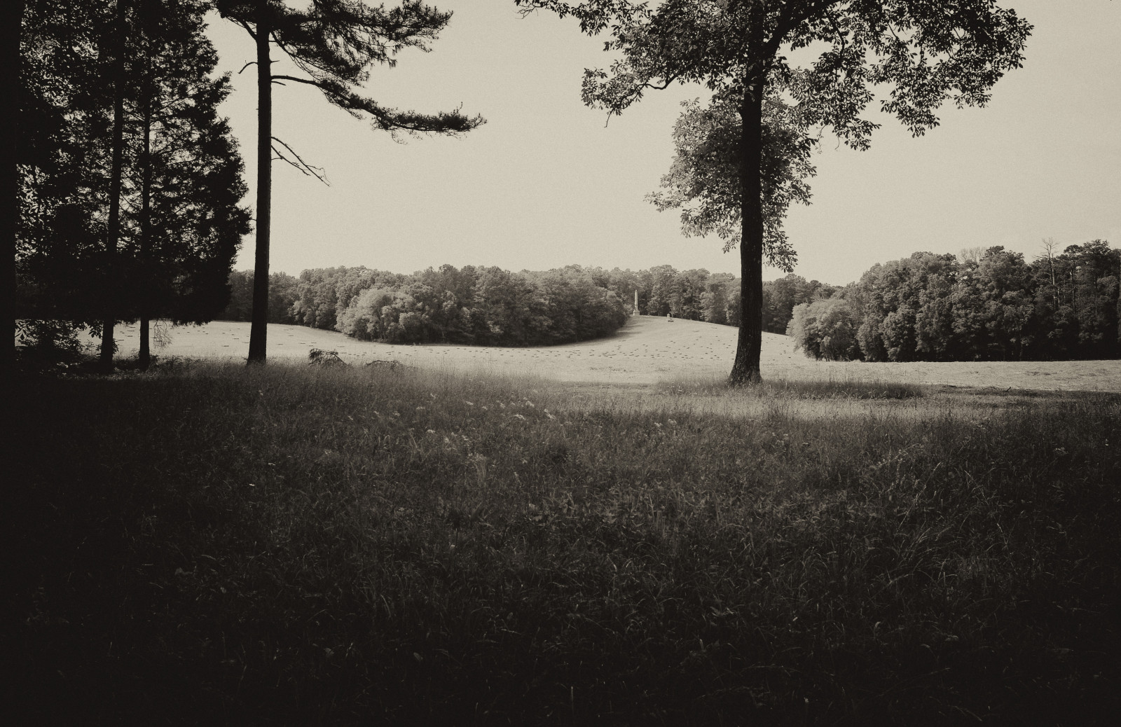 slunečnímu záření, krajina, les, bílý, Černá, černobílý, Příroda, tráva, nebe, park, stín, zima, válka, pole, fotografování, větev, večer, ráno, historický, dějiny, sama, atmosféra, osamělost, Spojené státy americké, Bojiště, Georgia, prázdný, pamětní, mrak, strom, národní, rostlina, tělesné, les, nás, pole, jižní, jižní, monotónní, Černý a bílý, monochromatické fotografování, dřevina, jev, civilní, Dyer, Chickamauga, stock photography