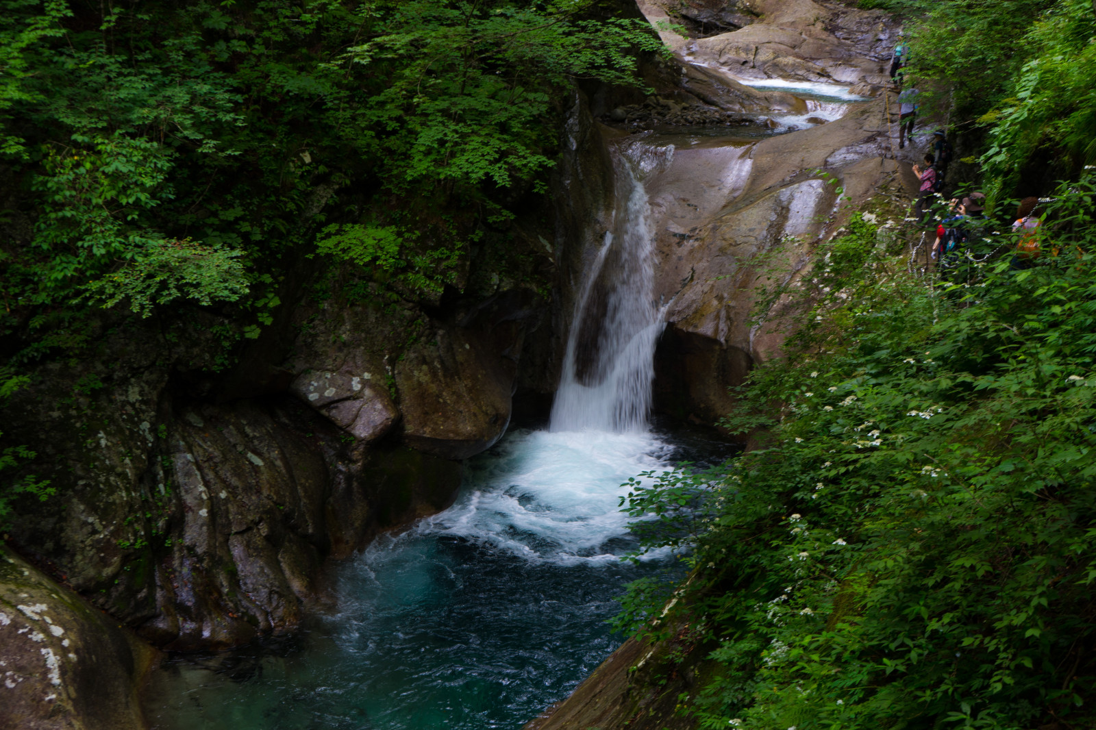 les, vodopád, voda, Příroda, řeka, džungle, proud, deštný prales, rokle, vodní tok, Rychlý, Wasserfall, tělo z vody, vodní prvek