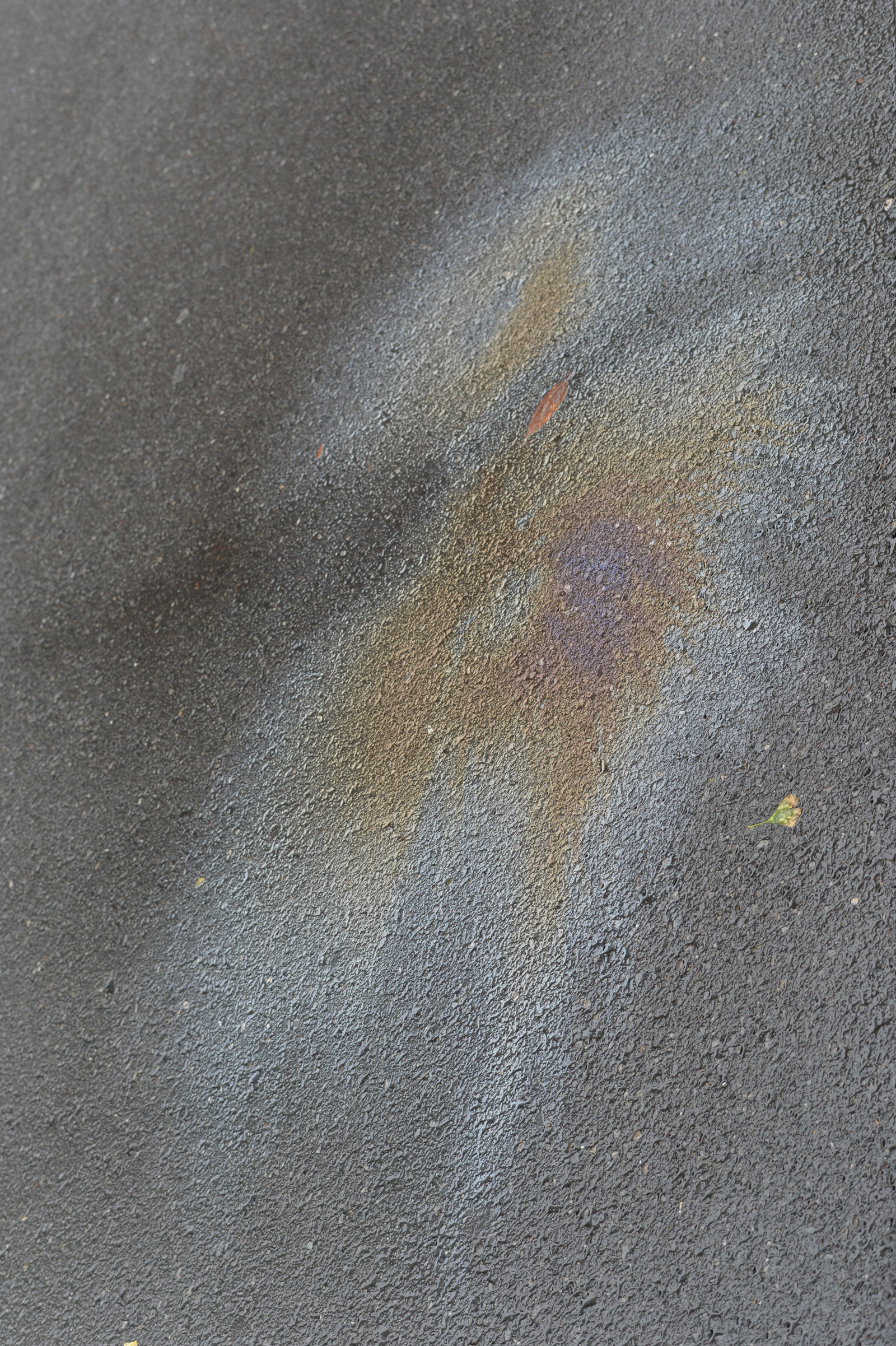 Japonsko, písek, stěna, déšť, modrý, textura, kruh, Nikon, Tokio, asfalt, jp, NIKKOR, materiál, patro, podlaha, dno, čára, Shinjuku, df, afs58mmf14g, afsnikkor58mmf14g, podlaha, povrch vozovky