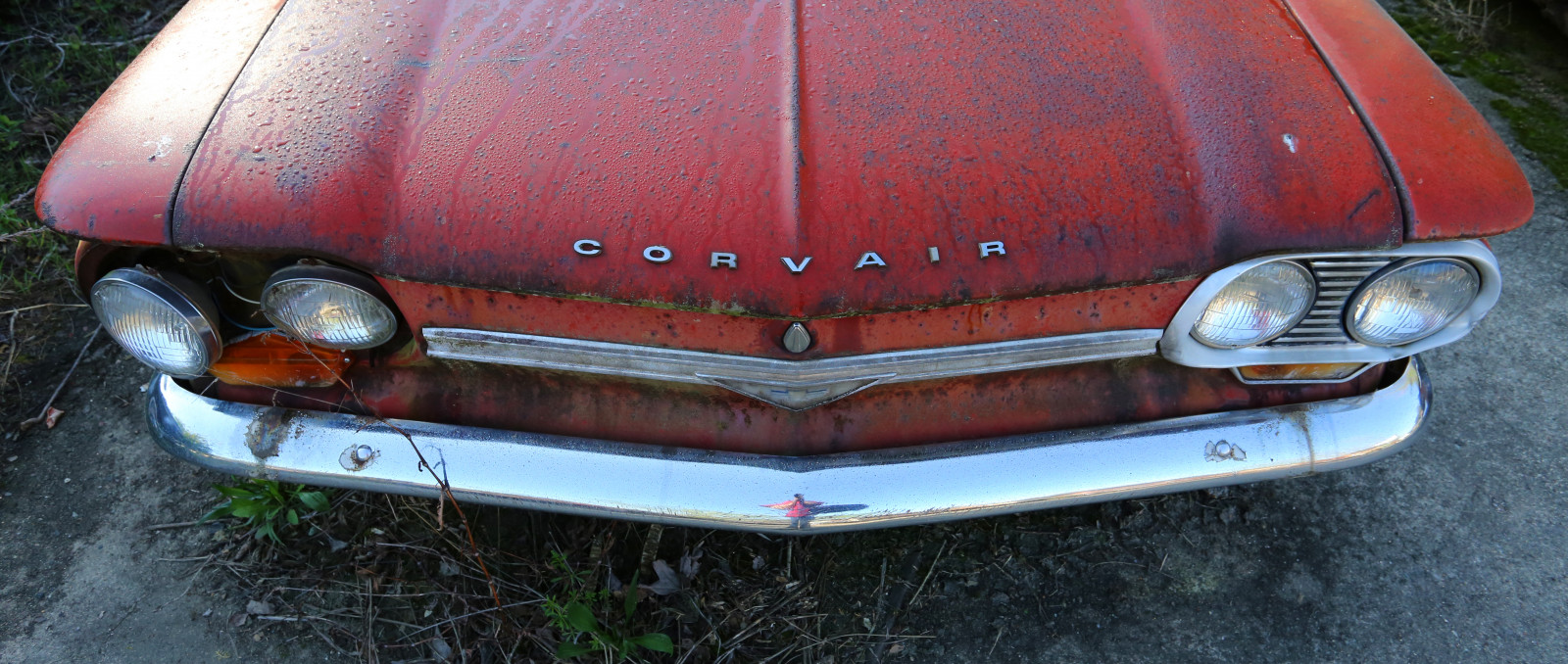 bílý, auto, Červené, vozidlo, kapuce, Kánon, rez, Georgia, Chevrolet, Chevy, rezavý, auto, automobil, 6d, eos, ga, automobilový exteriér, nárazník, kompaktní vůz, motorové vozidlo, oldcarcity, automotive Lighting, Corvair