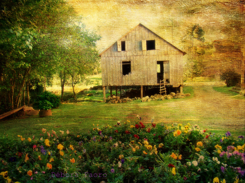 slunečnímu záření, krajina, malování, starý, zahrada, Příroda, tráva, pole, Dům, večer, ráno, hospodařit, textura, stodola, chata, texturou, Brazílie, jaro, Brasil, GIMP, chalupa, majetek, strom, květ, yard, rostlina, flores, domů, louka, plantáž, casa, Bresil, textura, divoká rostlina, trávník, zálesí, prérie, Paisagem, háj, lenabemanna, statek, venkov, počítač tapeta, keř, nemovitost, riograndedosul, srub, terénní, oldbarn, Velho, Texturizado, Celeiro, Bentogon alves, theatrical scenery