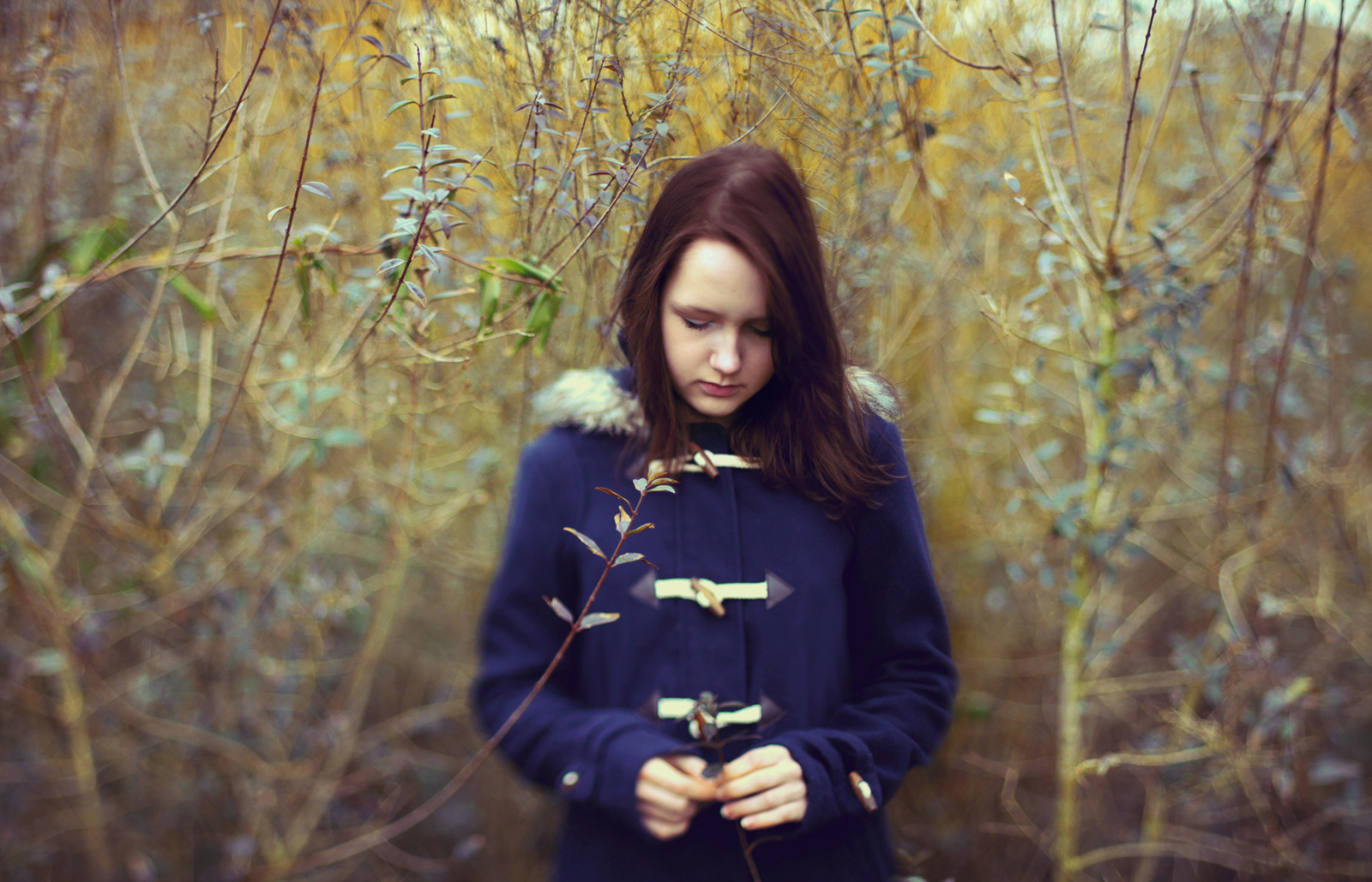 slunečnímu záření, les, model, portrét, Příroda, bruneta, zima, fotografování, žlutý, Kánon, móda, bokeh, Křoví, jaro, Volný, uvolnit, strom, podzim, květ, dny, dívka, krása, sezóna, větve, fotografie, 365, markii, projekt, zálesí, portrétní fotografie, focení, dřevina, freelensing, lensing, freelensed