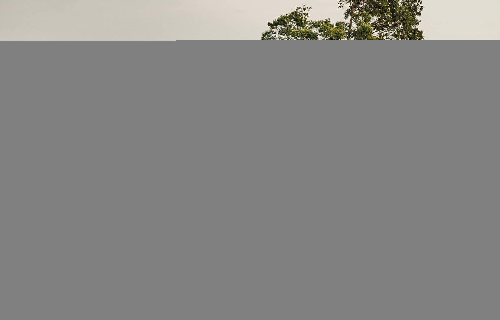 natur, alte, slta99v, Sony, imfreien, natur, longtimeexposure, Spanien, lightroomcc, opgive, Tamron, zufluss, gammel, wasser, sanesteban, rejse, udendørs, ndfilter, reise, langzeitbelichtung, Asturien, indstrømning, Landschaft, landskab, vand, støvle, Haida, tamronsp2470mmf28diusd, nd1864x, båd, verlassen, sanjuandelaarena, spanien, nal n