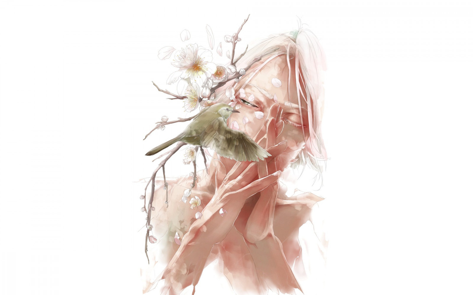 Wallpaper White Birds Anime Boys Pink Petal Costume Sketch wallpaper-white-birds-anime-boys-pink-petal-costume-sketch