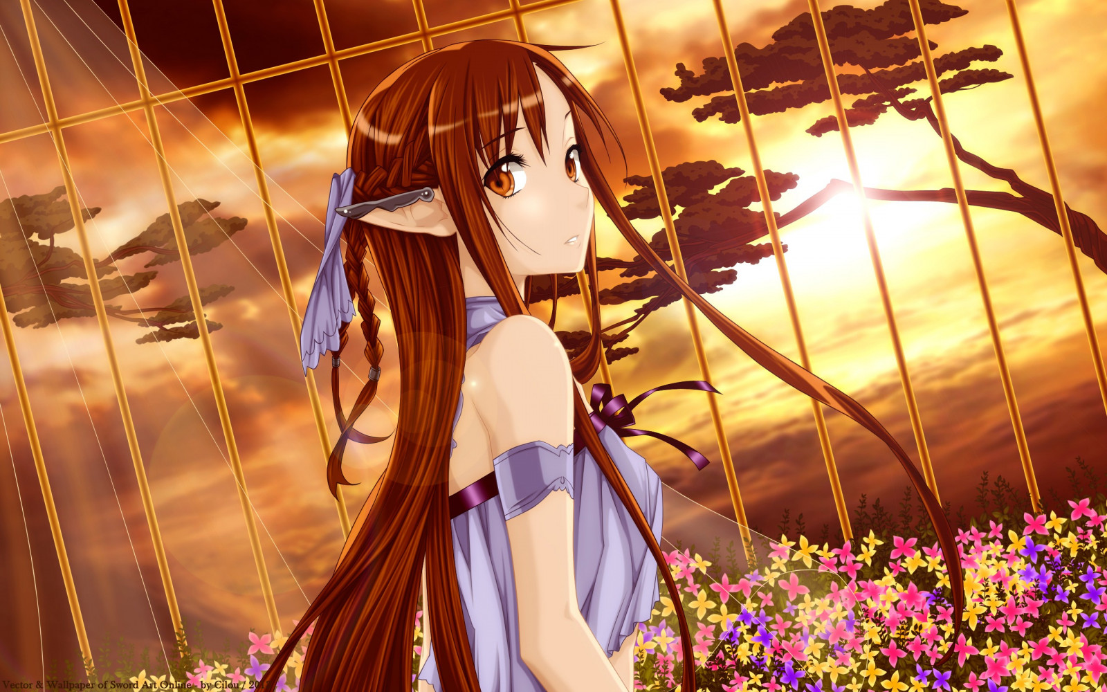 Fond d'écran Sword Art Online, Yuuki Asuna, fille, elfe 2560x1600