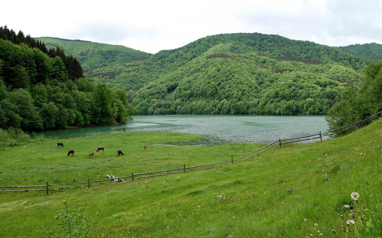 paesaggio, collina, lago, erba, campo, fiume, estate, valle, natura selvaggia, altopiano, riserva naturale, zone umide, bellissimo, albero, montagna, prateria, pascolo, prato, serbatoio, laghetto, montanaro, lago, area rurale, habitat, ambiente naturale, morfologie montane, caratteristica geografica, ecosistema, corpo d'acqua, catena montuosa, abbattere