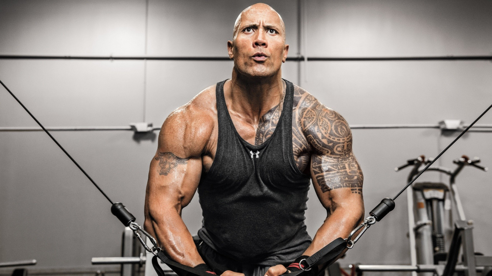 ห้องพัก, นักเพาะกาย, คนดัง, คน, เพาะกาย, กลอง, Dwayne Johnson, มือกลอง, กล้ามเนื้อ, แขน, หน้าอก, สมรรถภาพทางกาย, นักมวยปล้ำ, กลอง, ลูกหนูขด