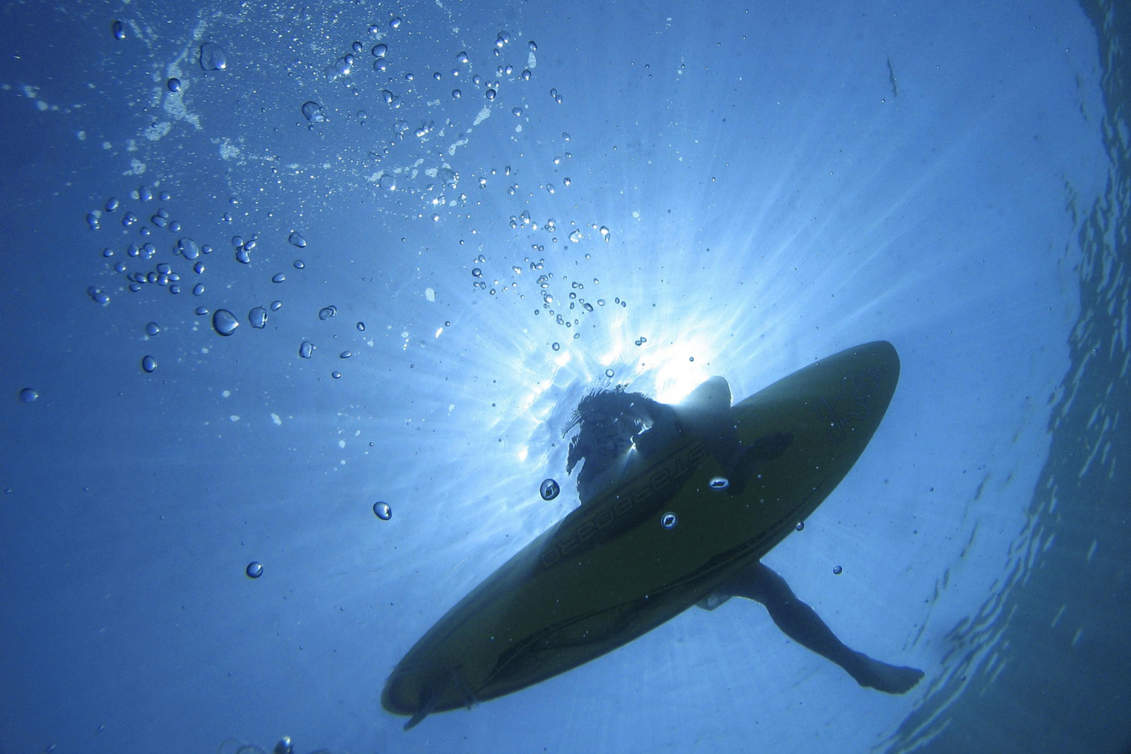 peixe, azul, embaixo da agua, Surfando, biologia, oceano, biologia Marinha, Mergulho submarino, 1999x1333 px