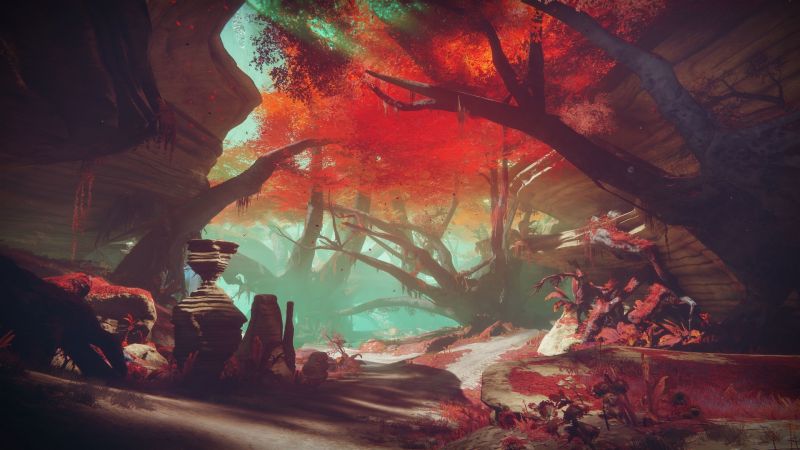 Destiny 2, tájkép, videójátékok, 1920x1080 px, fák Destiny 2, tájkép, videójátékok, 1920x1080 px, fák