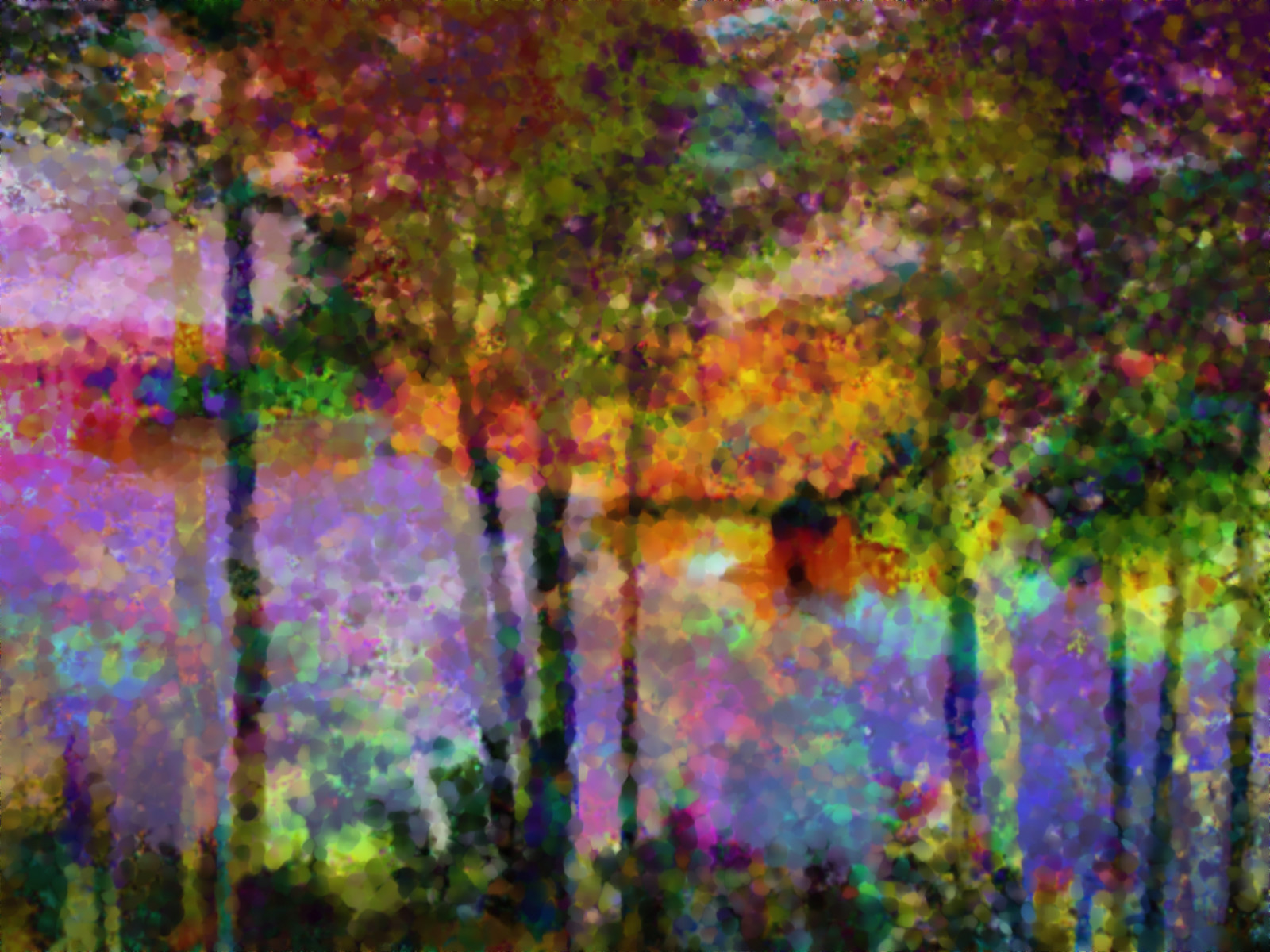 slunečnímu záření, malování, záliv, odraz, textura, barva, strom, podzim, list, květ, sezóna, digitální umění, photomanipulation, textury, zálesí, dřevina, moderní umění, akrylová barva, impresionista, vrstvené, richeye