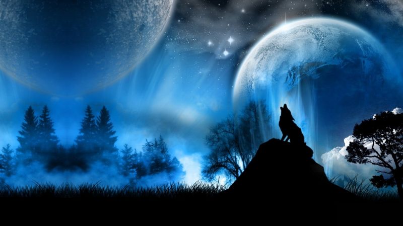 slunečnímu záření, zvěř, fantasy umění, noc, prostor, nebe slunečnímu záření, zvěř, fantasy umění, noc, prostor, nebe