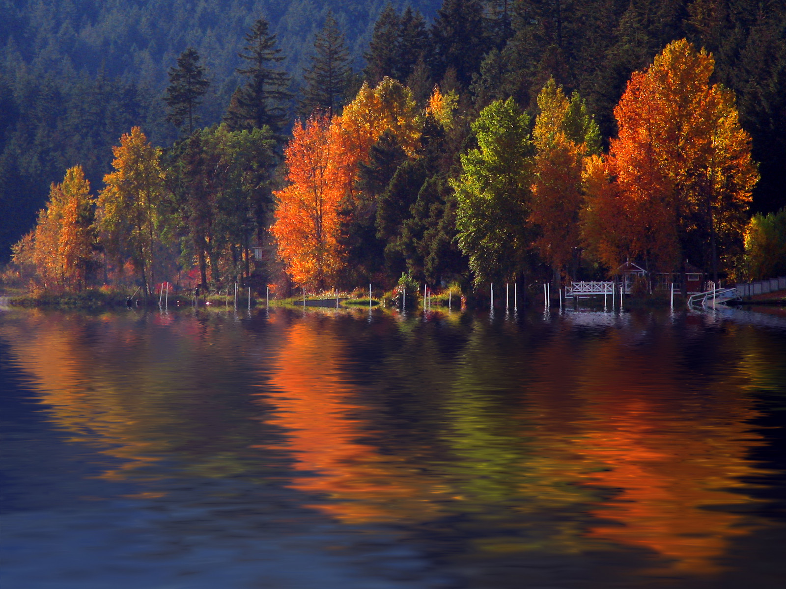 ทะเลสาบ, แคนาดา, การสะท้อน, ต้นไม้, น้ำ, แวนคูเวอร์, photomanipulation, เกาะ, น้ำท่วม, ระลอก, การจำลอง, กรอง, ลูกแพร์, เผา, shawnigan