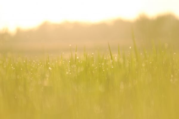 world,life,light,sunset,summer,Italy