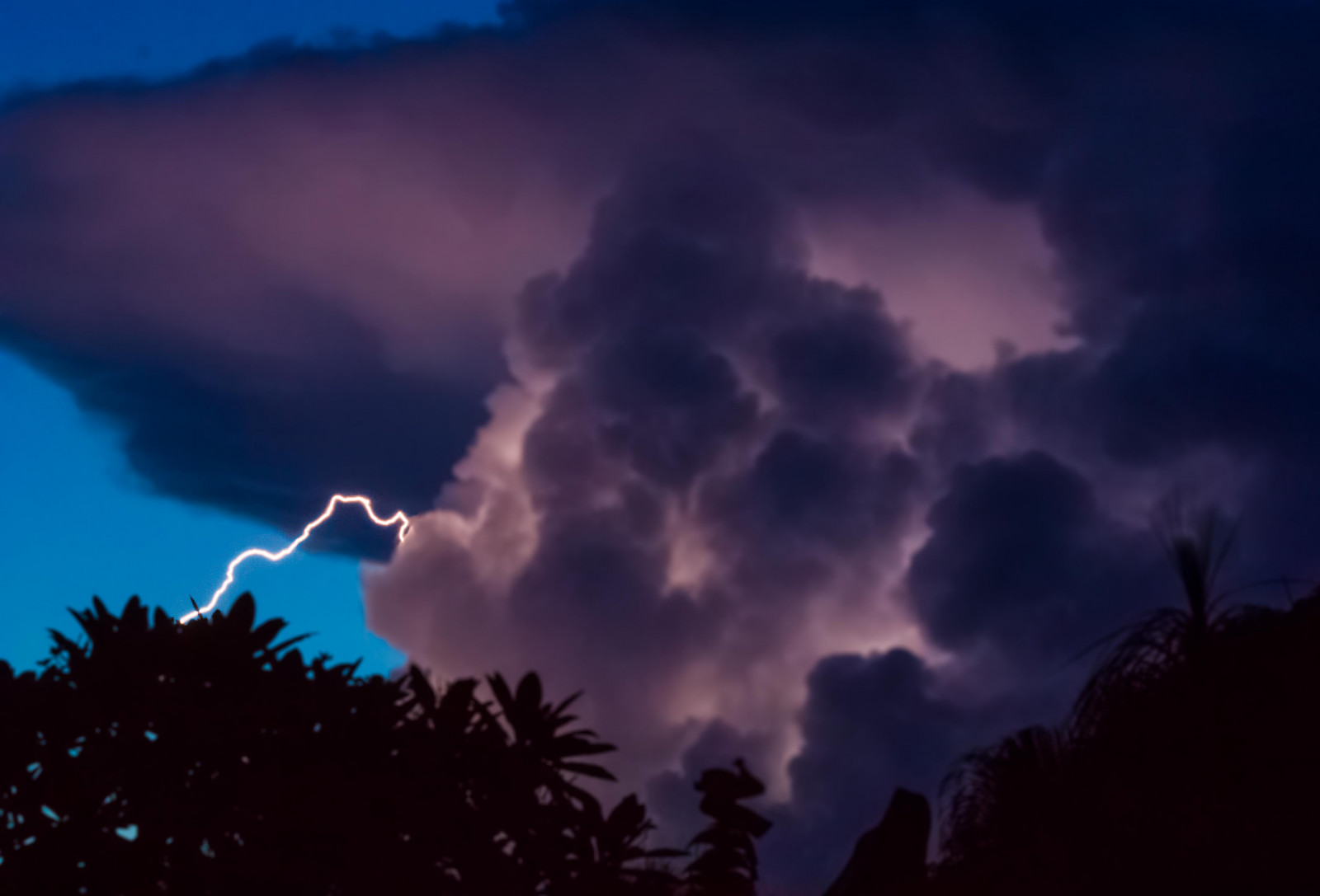 slunečnímu záření, noc, nebe, uklidnit, Blesk, bouřka, večer, vítr, horizont, atmosféra, soumrak, hrom, Florida, půlnoc, mrak, strom, svítání, bouřka, tma, během dne, počítač tapeta, Atmosféra Země, odlesk, geologický fenomén, červená obloha v dopoledních hodinách, meteorologický jev, kupa, jev