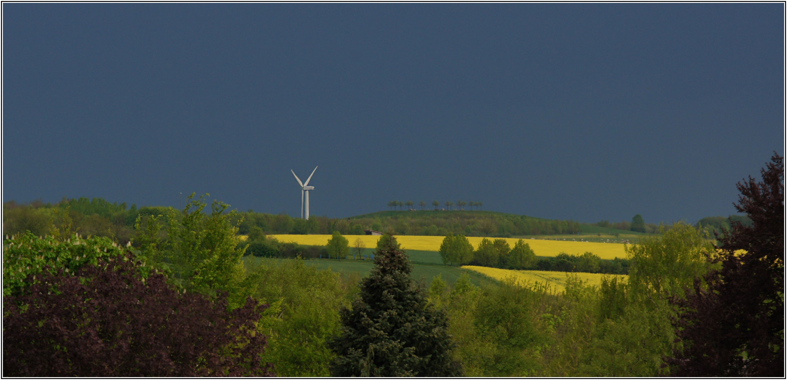 bouřka, krajina, Bodnutí, znásilnění, pole, bouřka, Gewitter, Naturschutzgebiet, rapsfelder, Zlatá pole, Rapefields, Hannoverkronsberg, Fieldsofgoldistung ltigwarum