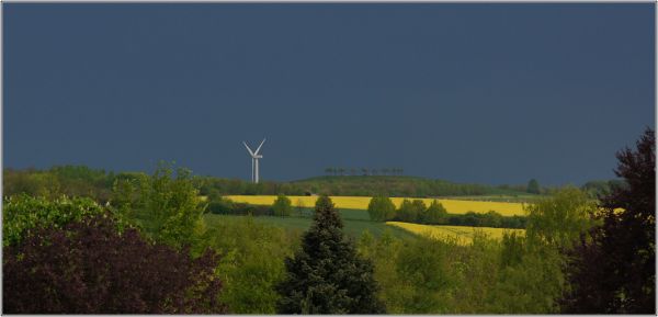 storm,landscape,Sting,rape,fields,thunderstorm