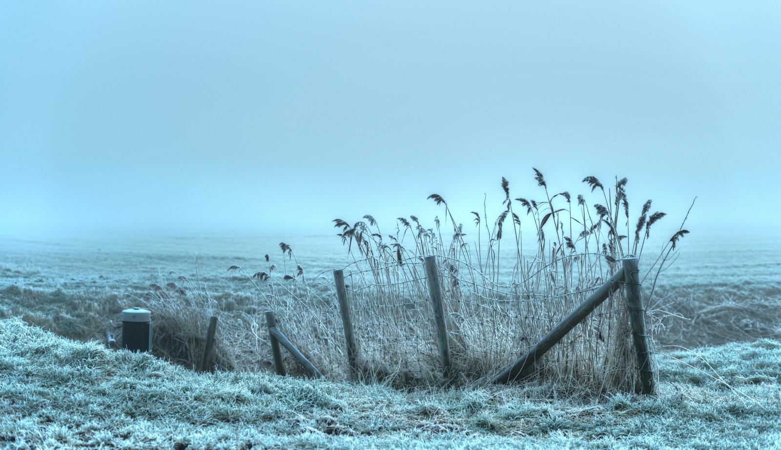 paesaggio, mare, acqua, erba, cielo, la neve, inverno, nuvole, ramo, calma, ghiaccio, freddo, mattina, nebbia, brina, HDR, orizzonte, Olanda, Nikon, luce del giorno, brina, Congelamento, nebbioso, olandese, foschia, nebbioso, Olanda, gennaio, leggero, farmfield, albero, nebbioso, NIKKOR, 50 millimetri, nebbia, oceano, Noordholland, ghiacciato, landscapephotography, wolken, Nederland, Paesi Bassi, licht, paesaggio, palmare, ampia gamma dinamica, polder, mistig, famiglia di erba, umido, nikkor50mm, Nederlands, Gennaio, d5, ochtend, Nevel, Koud, Akker, daglicht, Rijp, nikond5, Westfriesland, stalle, terreni agricoli, overdag, smorgens, nevelig, alexdehaas, farmfields, laaghangendebewolking, landschapsfotografie, gestire, vapore acqueo, waterdamp