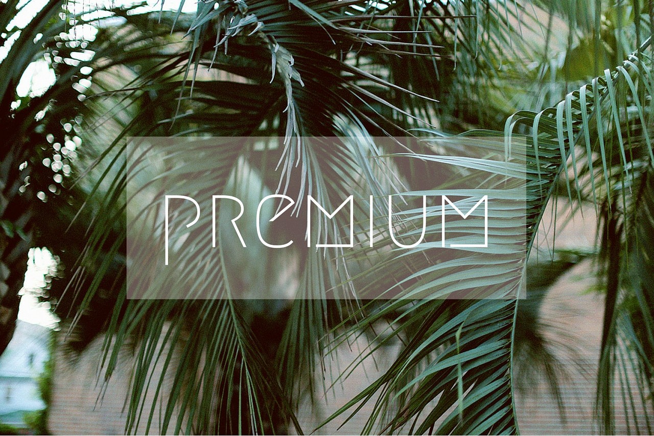 แสงแดด, ป่า, ใบไม้, ธรรมชาติ, หญ้า, สาขา, สีเขียว, ป่า, การออกแบบตกแต่งภายใน, ไม้ไผ่, ต้นไม้, ใบไม้, ดอกไม้, ปลูก, พืช, เขตร้อน, พฤกษศาสตร์, โรงงานที่ดิน, ไม้ยืนต้น, ครอบครัวหญ้า, arecales, ครอบครัวปาล์ม