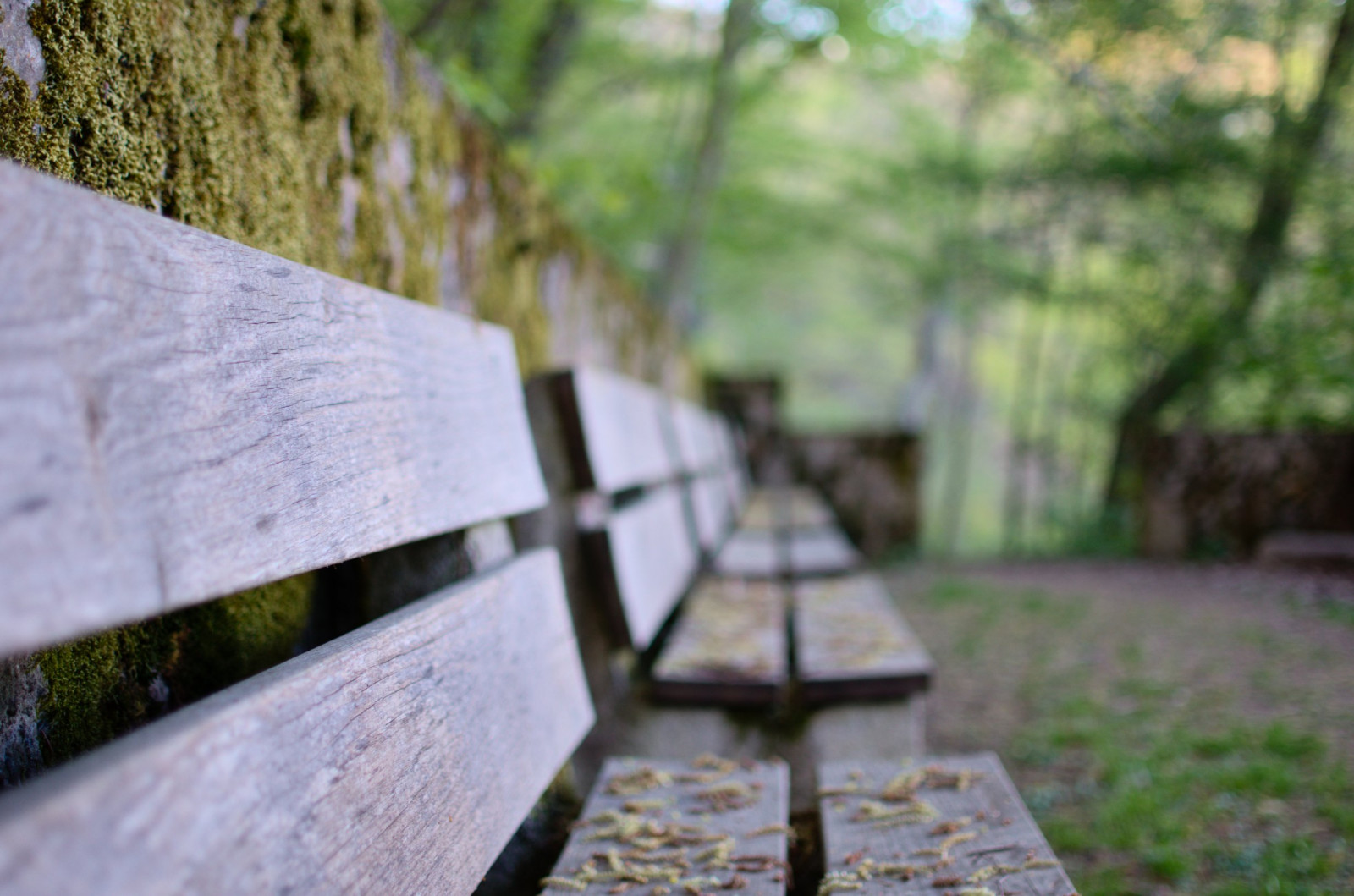 Germany Bench Wallpaper : sunlight, nature, grass, road, wood, green, morning ...