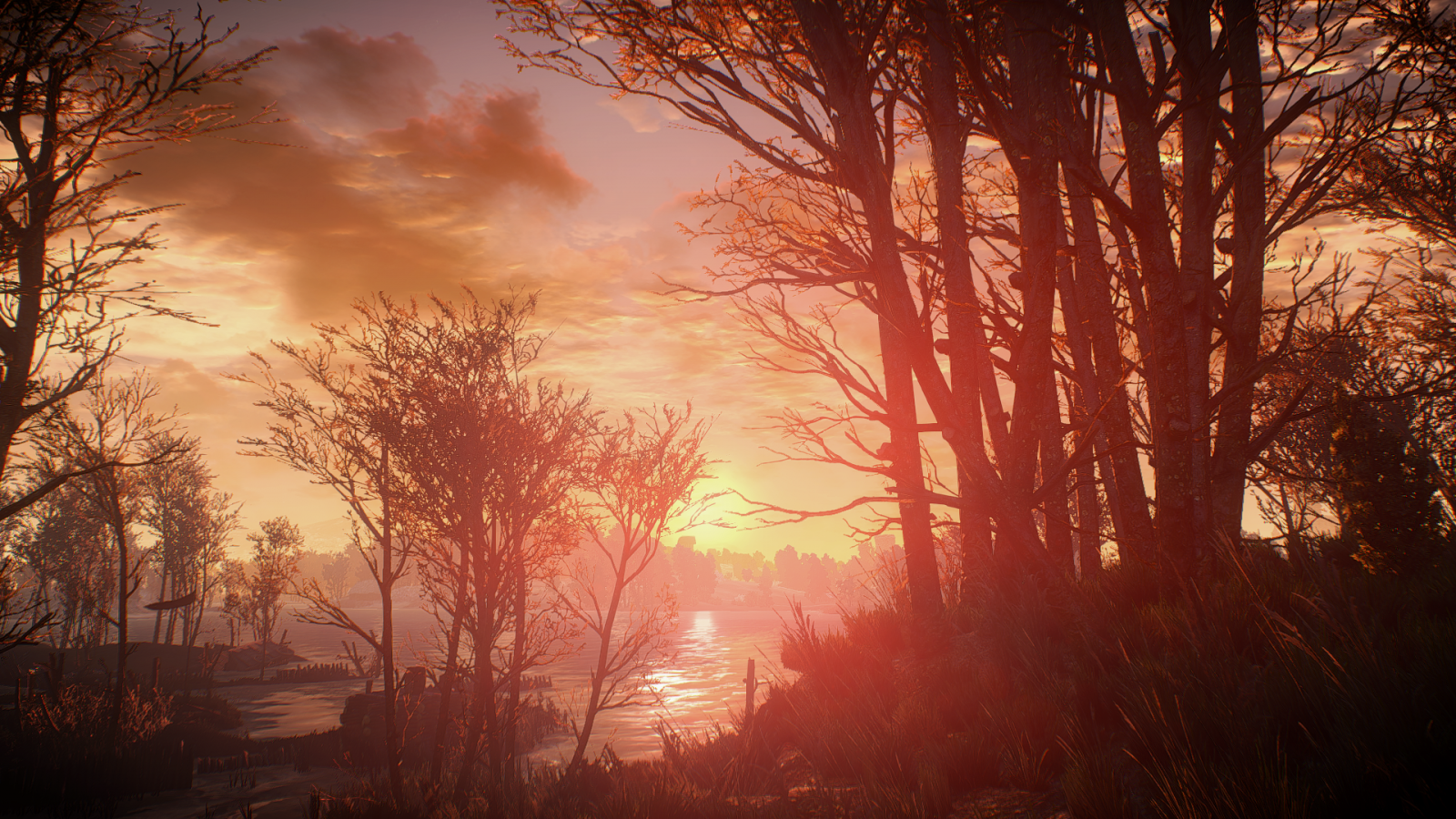 Wallpaper : sunlight, forest, video games, sunset, nature, branch