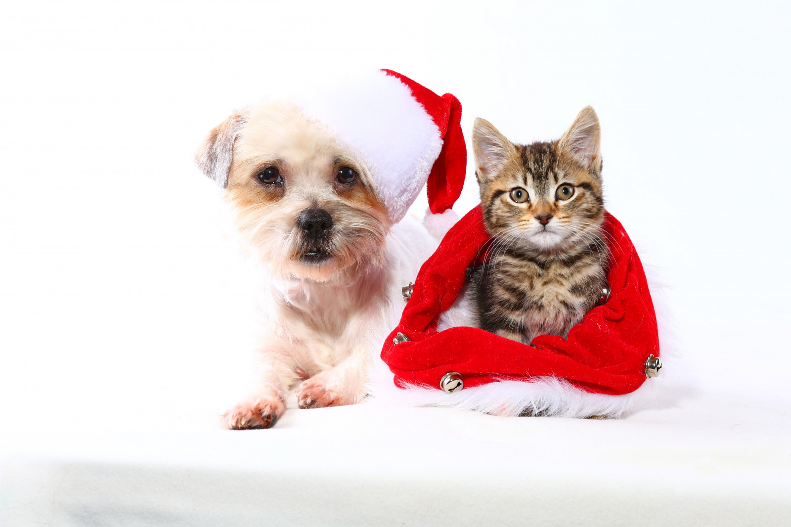 5184x3456 px, Vánoce, Dovolená