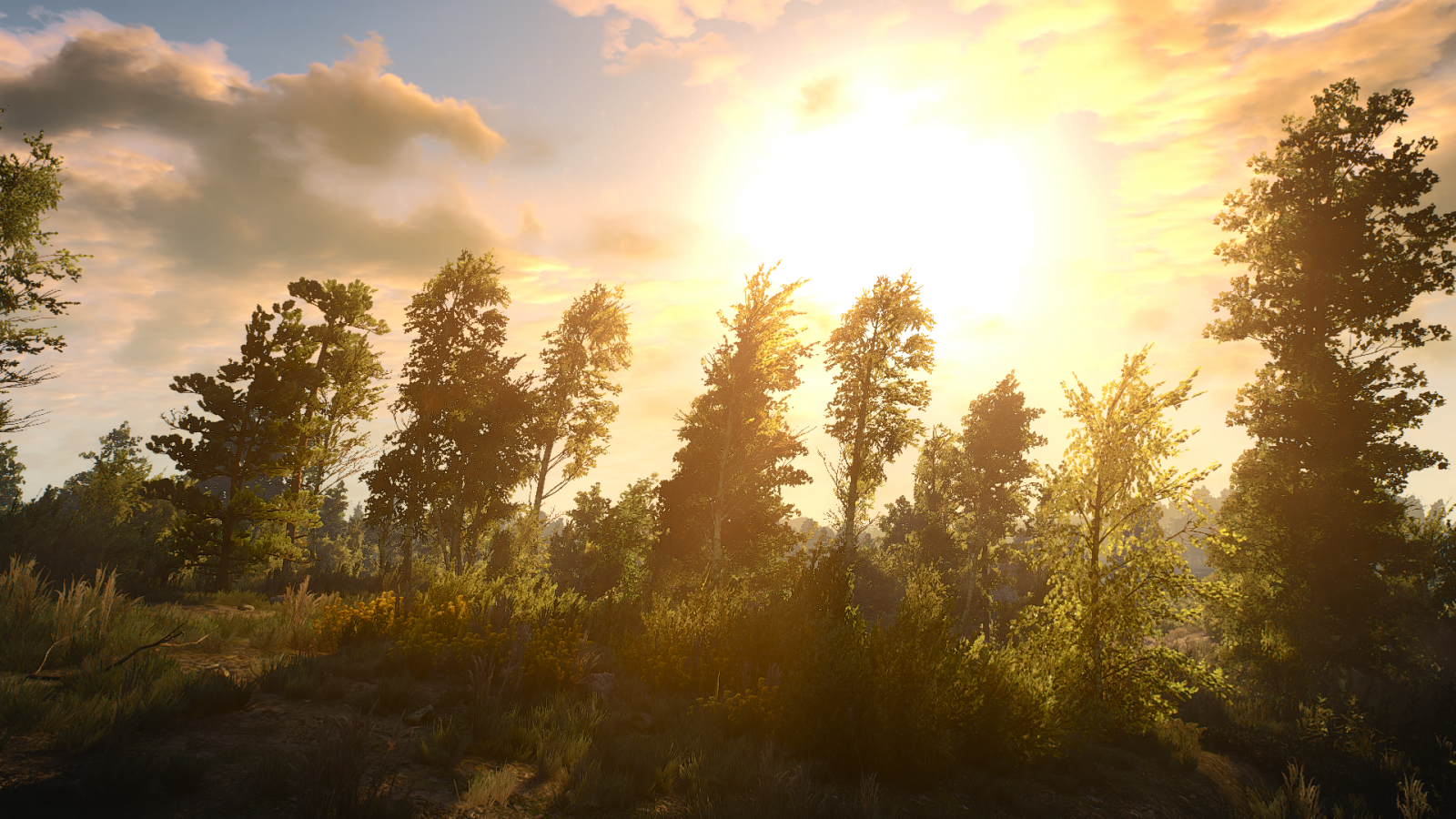 lumina soarelui, pădure, jocuri video, apus de soare, natură, cer, ramură, răsărit, seară, dimineaţă, aburi, Soare, The Witcher 3 Wild Hunt, amurg, ușoară, nor, copac, toamnă, frunze, zori de zi, plantă, sezon, habitat, fenomen atmosferic, plante lemnoase