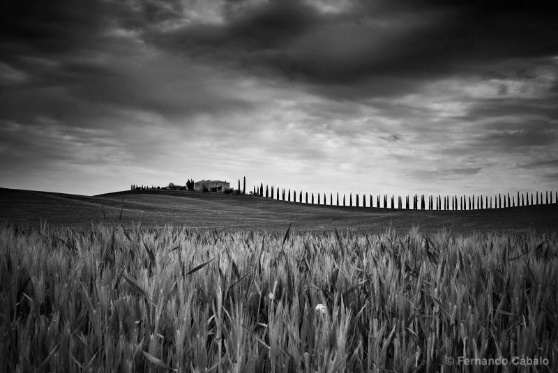 cielo, bianco e nero, nube, fotografia in bianco e nero, orizzonte, campo
