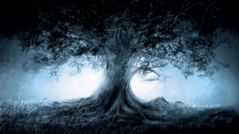 slunečnímu záření, stromy, les, fantasy umění, noc, Příroda slunečnímu záření, stromy, les, fantasy umění, noc, Příroda