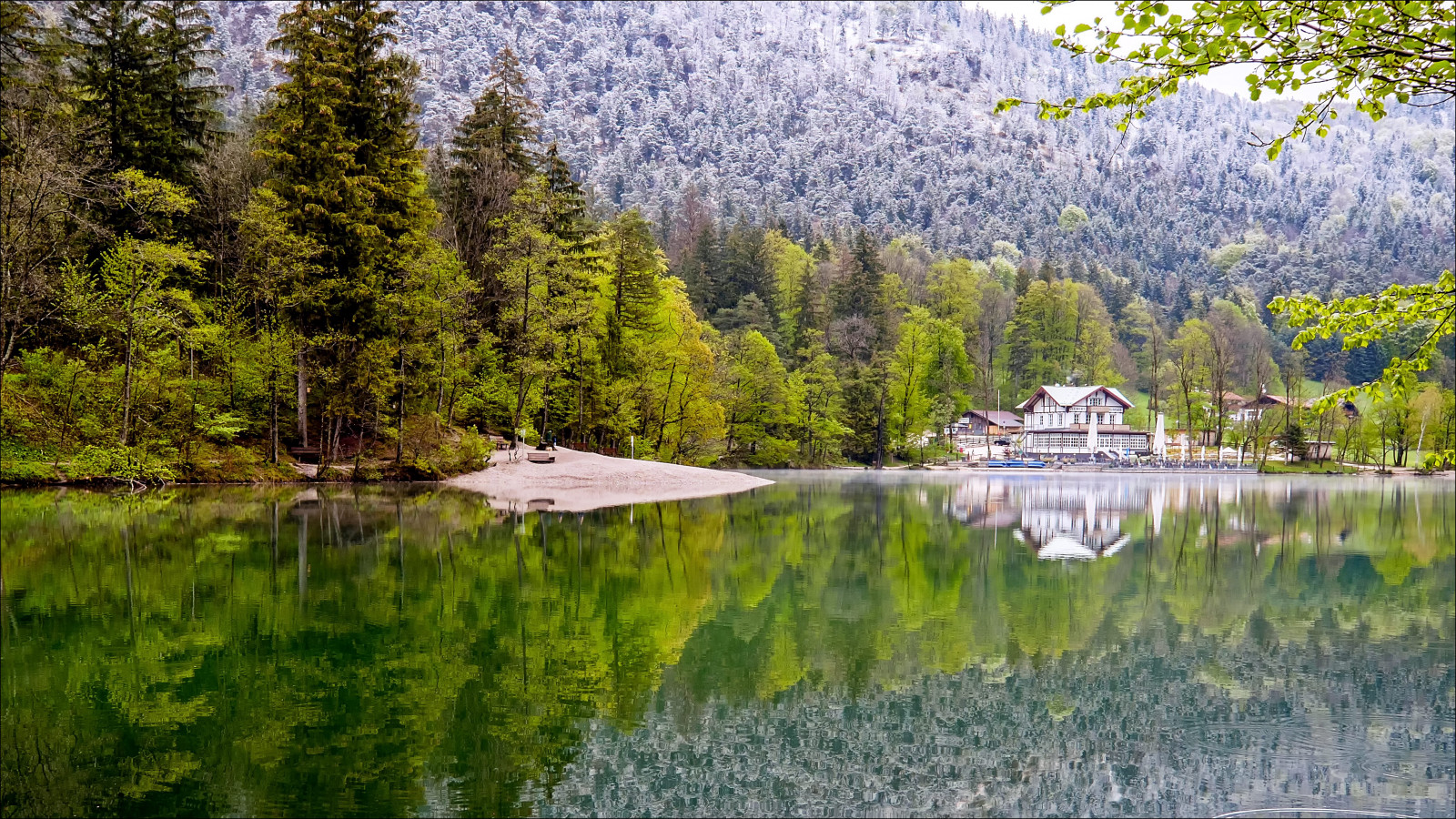 stromy, jezero, Alpy, odraz, vidět, wasser, fuji, švestka, alpen, Baume, spiegelung, písčina, reflektion, coldmorning, Badreichenhall, Thumsee, mokro, Reichenhall, Zemský okres Berchtesgadener Land, Aprilwetter, Nasse, Feuchte, XE2, kaltermorgen, heinrichplum, xf1024mm