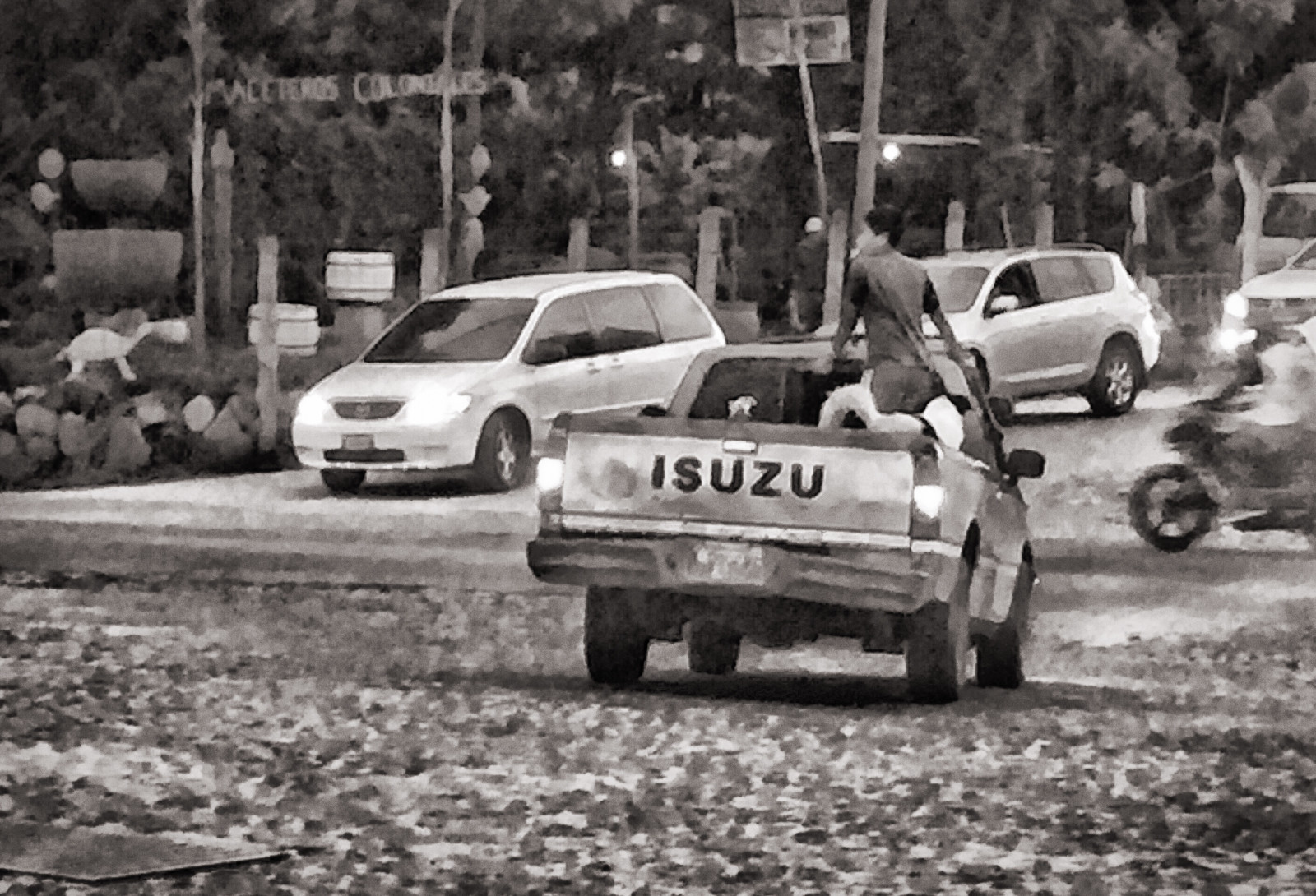 motocykl, Pes, chlapec, tělesné, Černý a bílý, soumrak, provoz, nákladní auto, Isuzu