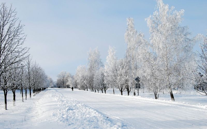 stromy, krajina, Příroda, sníh, zima, silnice stromy, krajina, Příroda, sníh, zima, silnice