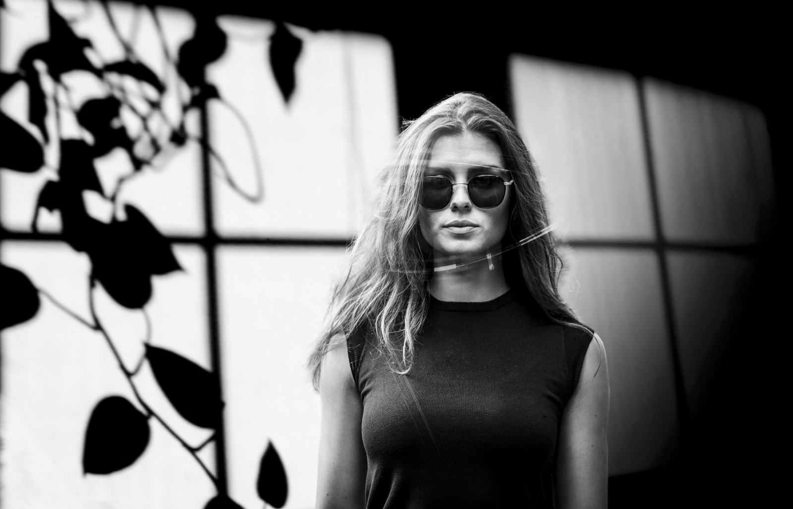 tvář, listy, lidé, bílý, Černá, černobílý, model, portrét, okno, oči, temný, brýle, odraz, stín, pole, fotografování, slunce, móda, vlasy, Nikon, čáry, bokeh, jasný, záře, Boston, světlo, Černý a bílý, expozice, dívka, krása, přírodní, žena, Pozadí, světlice, osvětlení, dáma, rozmazat, hloubka, fotografie, tělo, póza, střela do hlavy, portréty, portrétování, theunforgettablepictures, diamondclassphotographer, křivky, d4, nikond4, pozadí, Černý a bílý, monochromatické fotografování, focení, Film noir, Southend, protisluneční, glassess