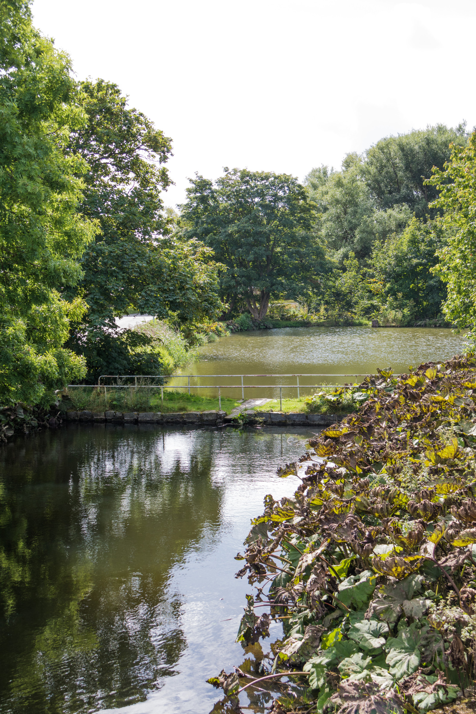 les, jezero, voda, odraz, řeka, rybník, proud, mokřadní, strom, podzim, list, sterlen, vodní tok, exif modelu canoneos760d, geocountry, Kamera aby kánon, geocity, Model fotoaparátu canoneos760d, geostate, geolocation, EXIF čočka efs18200mmf3556is, exif aby kánon, EXIF isospeed 100, exif focallength 32mm, EXIF otvor 63, Simrishamn, tobisvik, nádrž, místo výskytu, přírodní prostředí, vodní, tělo z vody