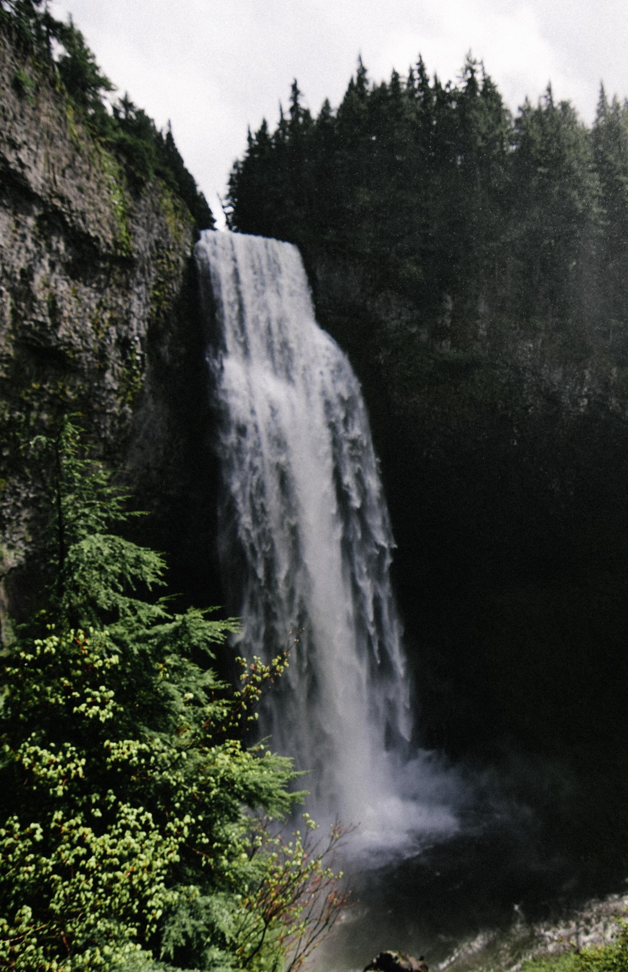 Wallpaper waterfall, lake, pine trees, Oregon, Salt Creek Falls