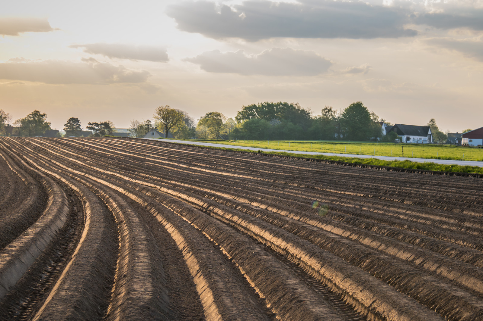 paesaggio, cielo, veicolo, campo, strada, mattina, azienda agricola, trasporto, nube, campagna, landsbygd, v g, s dersl TT, Landskap, Morgon, Gisl v, traccia, agricoltura, suolo, area rurale, pista, trasporto ferroviario