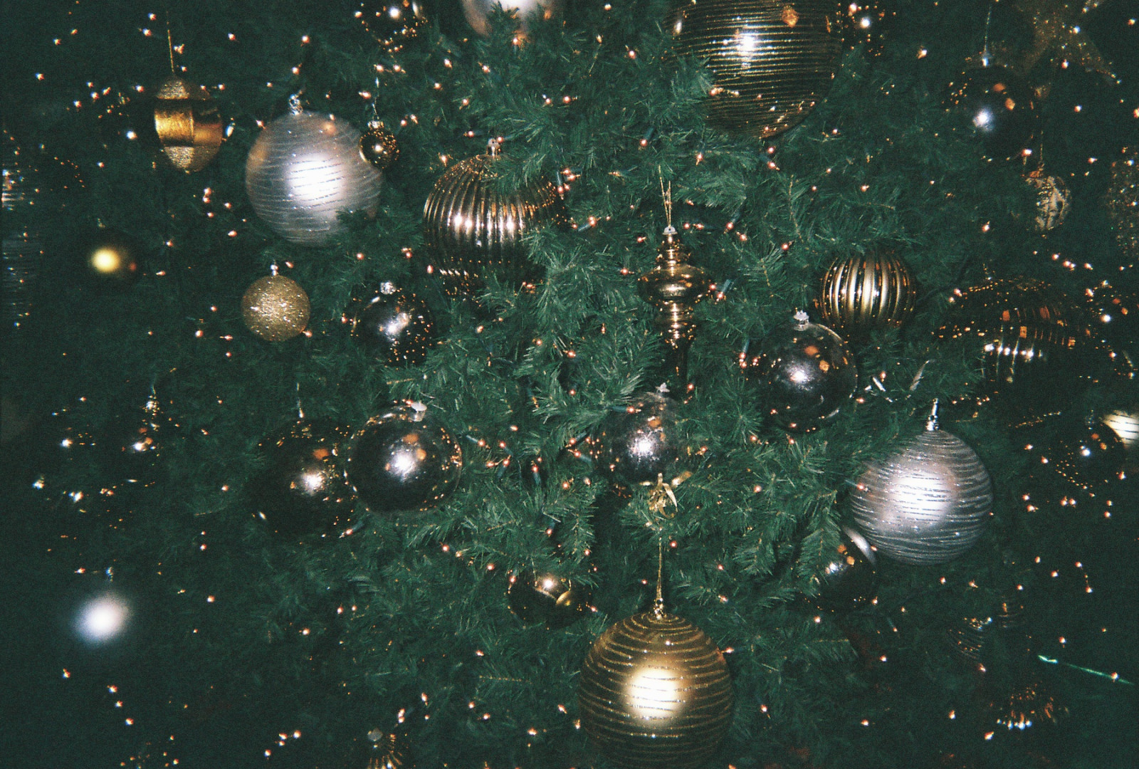 les, podzim, noc, prostor, odraz, nebe, zima, Země, zelená, Vánoční strom, atmosféra, Vánoce, zlato, Dovolená, vesmír, Vánoční osvětlení, jedle, ozdoby, ornament, stříbrný, 35MM, půlnoc, Evergreen, světlo, strom, sezóna, Vánoce, osvětlení, prosinec, vánoční strom, jehla, film, ishootfilm, počítač tapeta, vánoční dekorace, borovice rodina, organismus, jednorázový, disposablecamera, prázdninová sezóna, kozy, Monsterpuke, Jednorázově, Myslím, že to je, christmas ornament