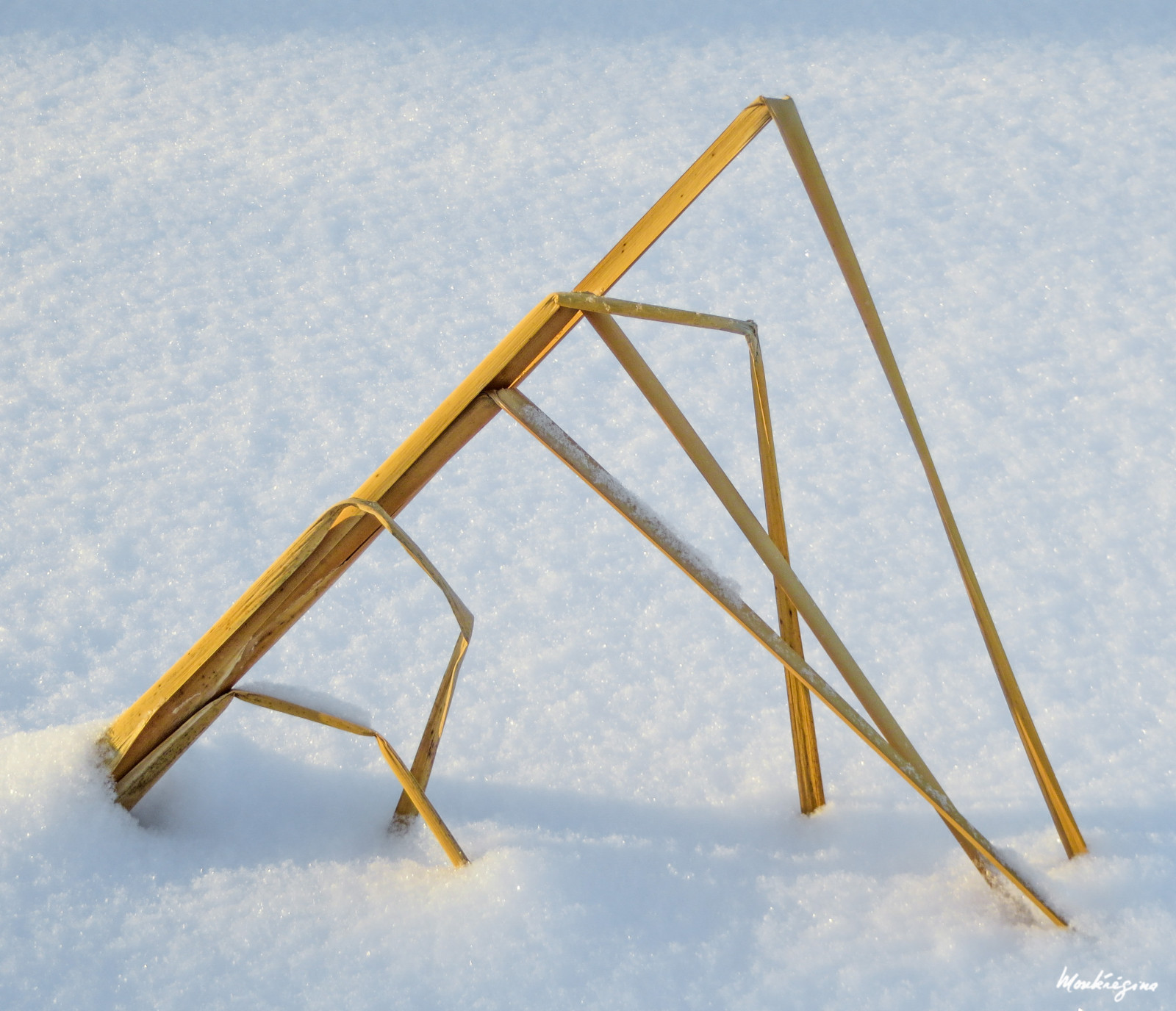 Quebec, Kanada, hiver, zima, neige, sníh, Schnee, závěje, struktury, tvary, formes, útvary, vítr, průduch, vrstvy, kanape, podrobnosti, vlnky, zasněžené, winterscape, monteregina, Ombres, stíny, vzory, vzory, abstraktní umění, abstractnature, natureabstraite, křivky, Courbes, design, textury, Příroda, natur, abstraktní, Bancsdeneige, čáry, úhly, Tempete, UMĚNÍ, sochařství, Naturalsculpture, Naturalshape, formuláře, Formace, Abstractsnow, Abstraitdeneige, Rafaledeneige, závěj, Akumulačnídení, Bourrasquedeneige, foukající sníh, schneetreiben, G om trieenneige, Geometryinsnow, abstraktní, trojúhelníky, Geometrickýabstrakt, G om triqueabstrait, abstrakce, Roseaux, rákosí, Joncs