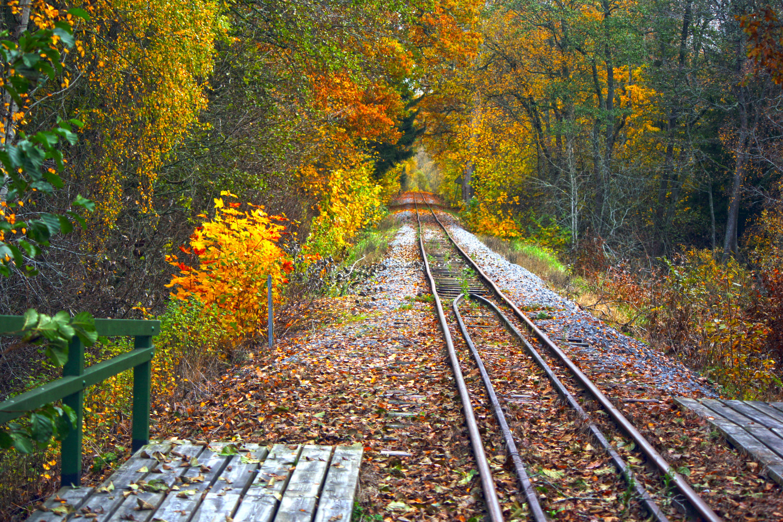 Wallpaper : railroad, autumn, train, rail, uppsala, musai, l nnakatten ...