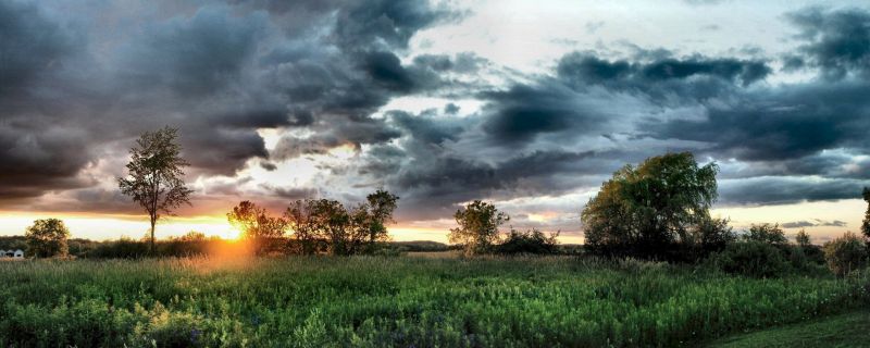 światło słoneczne,krajobraz,zachód słońca,Natura,trawa,drzewa