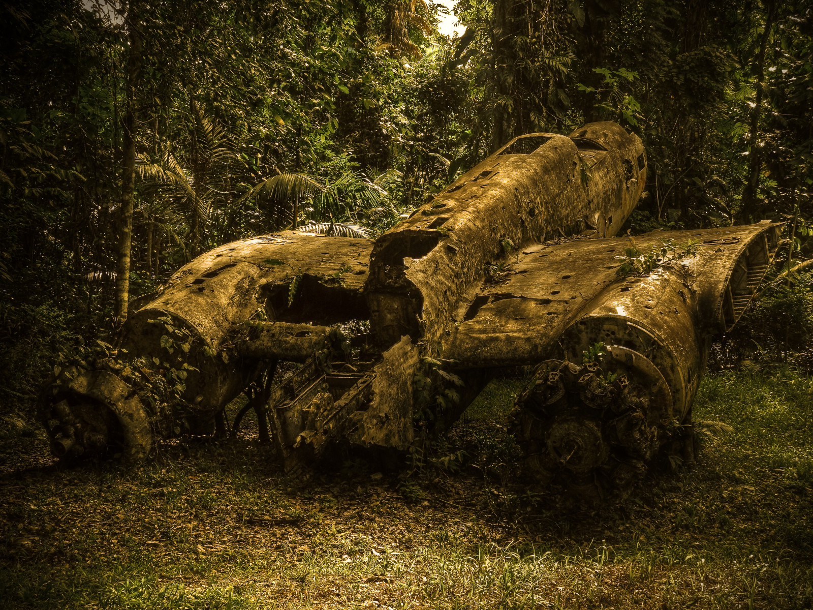 ญี่ปุ่น, ww2, ปาปัวนิวกินี, เครื่องบินทิ้งระเบิด, wrecks, มาดากัสการ์, mitsubishibomber